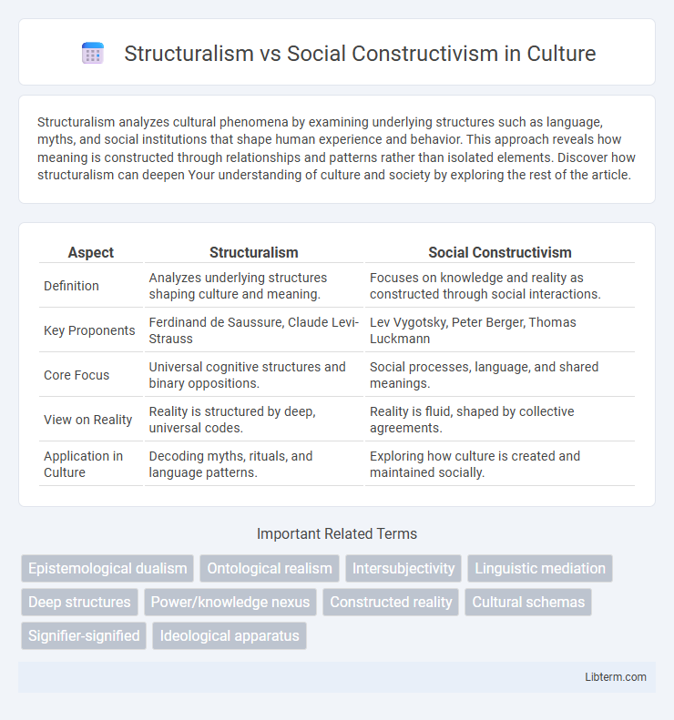 Social Constructivism vs Structuralism in Culture - What is The Difference?