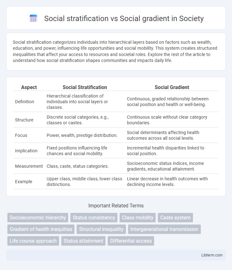 Social gradient vs Social stratification in Society - What is The Difference?