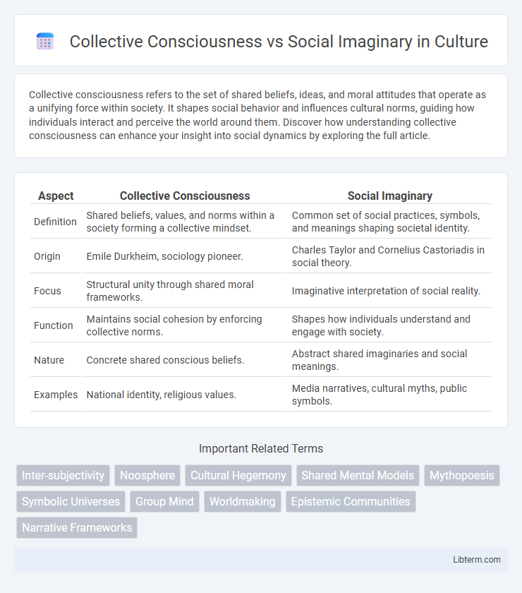 Social Imaginary vs Collective Consciousness in Culture - What is The Difference?