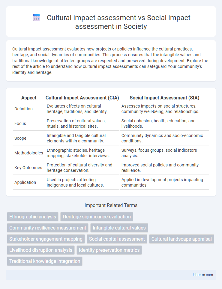 Social impact assessment vs Cultural impact assessment in Society - What is The Difference?