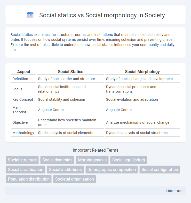 Social morphology vs Social statics in Society - What is The Difference?