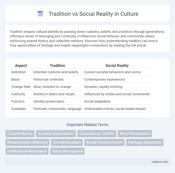 Social Reality vs Tradition in Culture - What is The Difference?