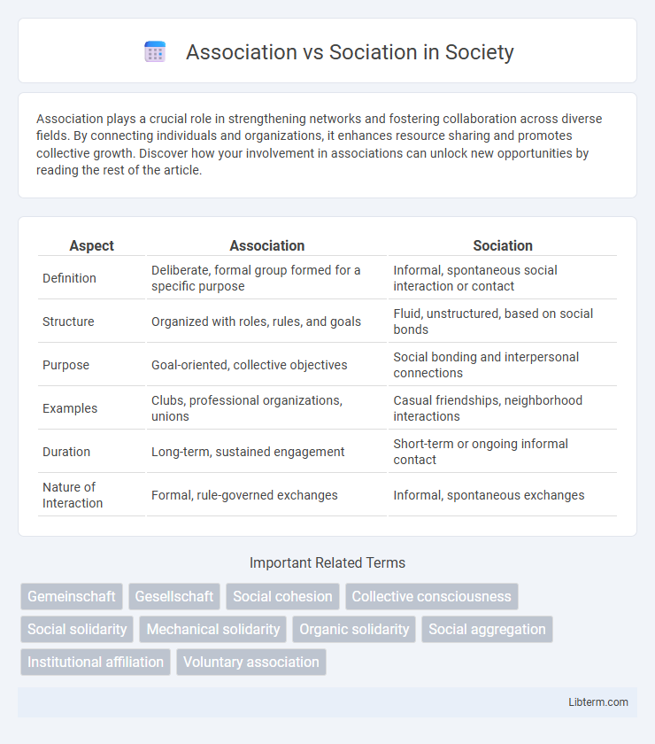 Sociation vs Association in Society - What is The Difference?