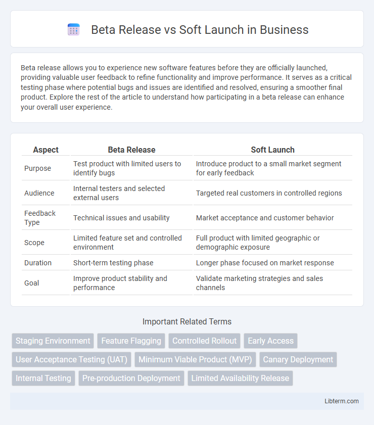 Soft Launch vs Beta Release in Business - What is The Difference?