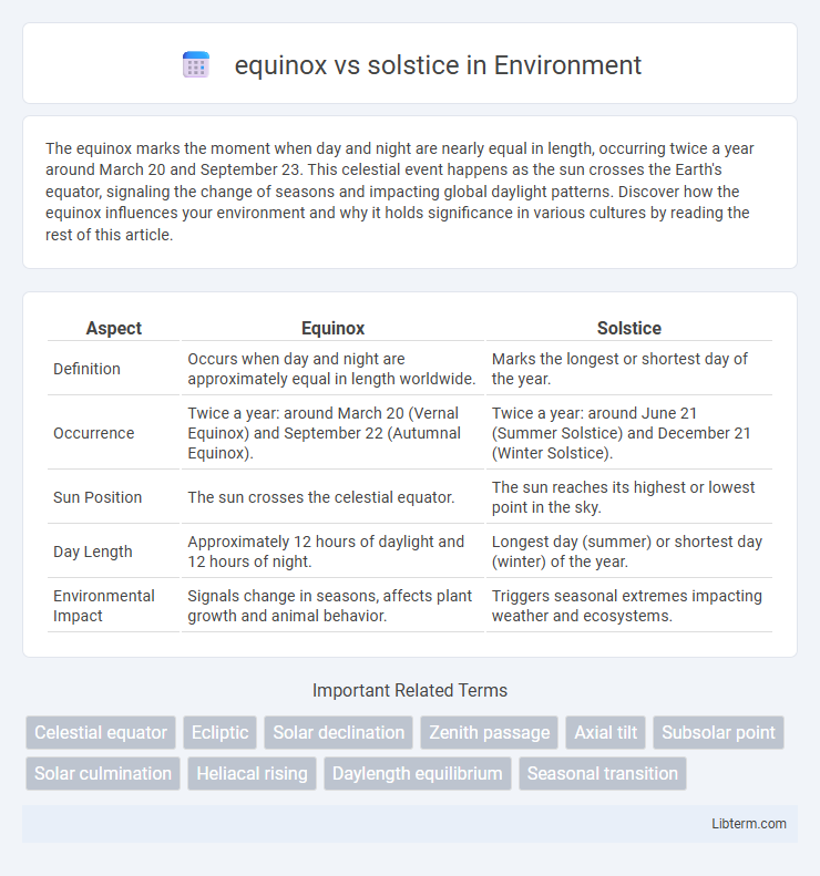 solstice vs equinox in Environment - What is The Difference?