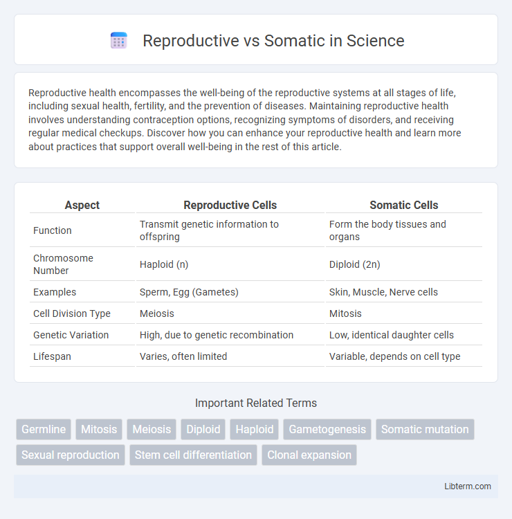 Somatic vs Reproductive in Science - What is The Difference?