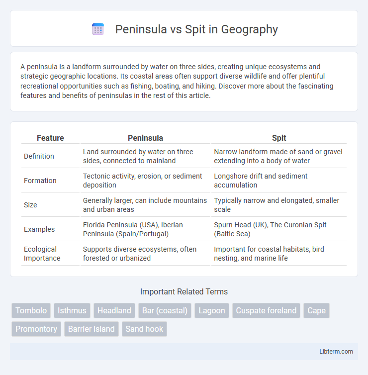 Spit vs Peninsula in Geography - What is The Difference?