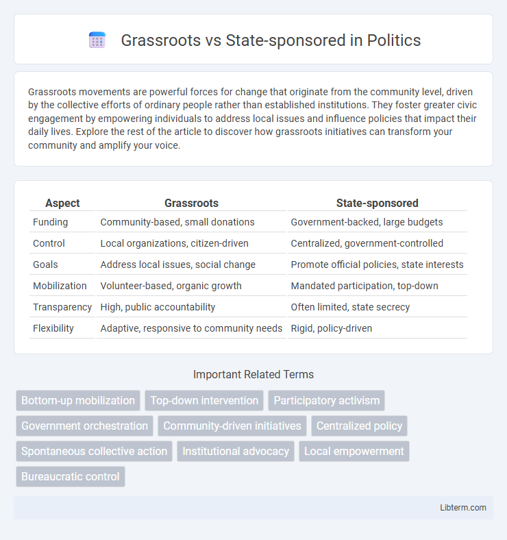 State-sponsored vs Grassroots in Politics - What is The Difference?