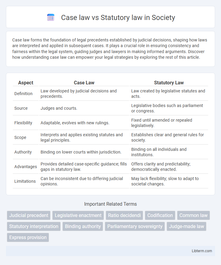 Statutory law vs Case law in Society - What is The Difference?
