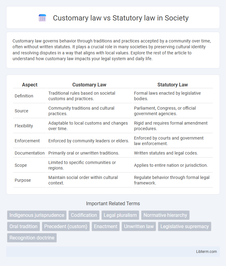 Statutory law vs Customary law in Society - What is The Difference?