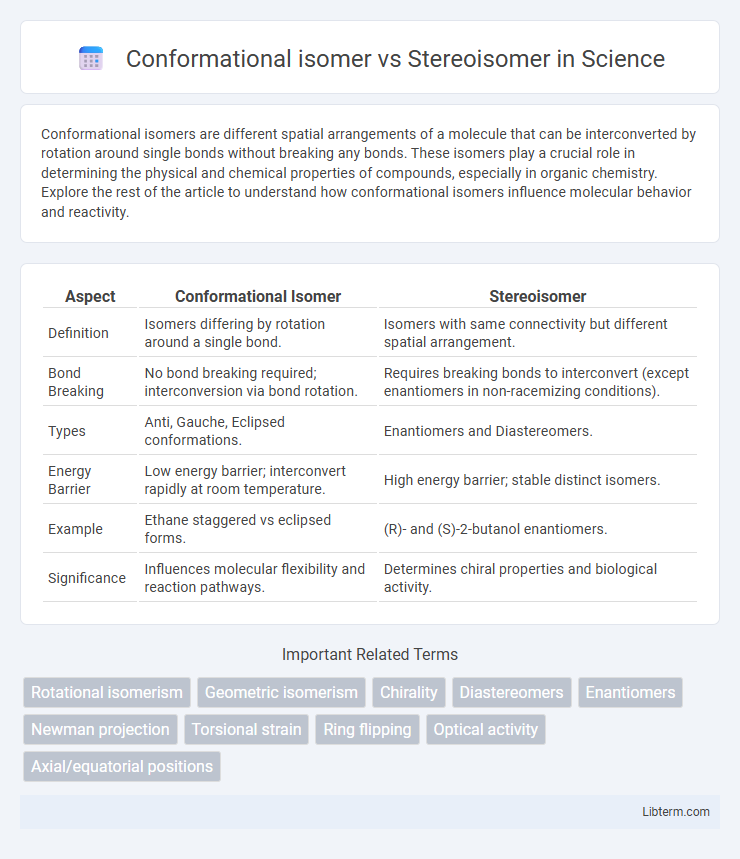 Stereoisomer vs Conformational isomer in Science - What is The Difference?