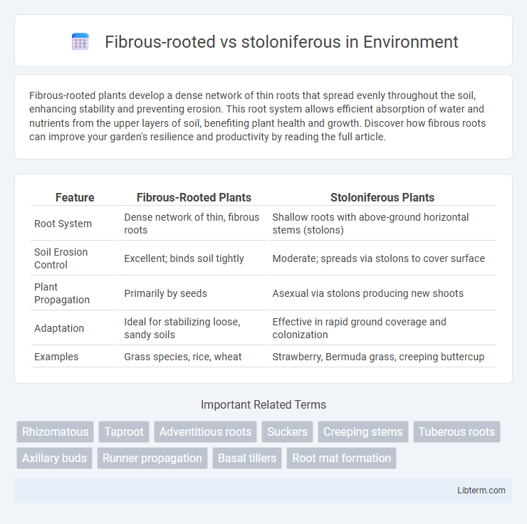stoloniferous vs Fibrous-rooted in Environment - What is The Difference?