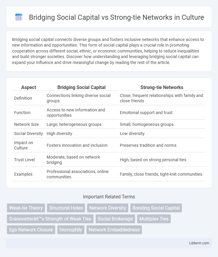 Strong-tie Networks vs Bridging Social Capital in Culture - What is The Difference?