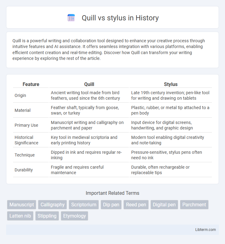 stylus vs Quill in History - What is The Difference?