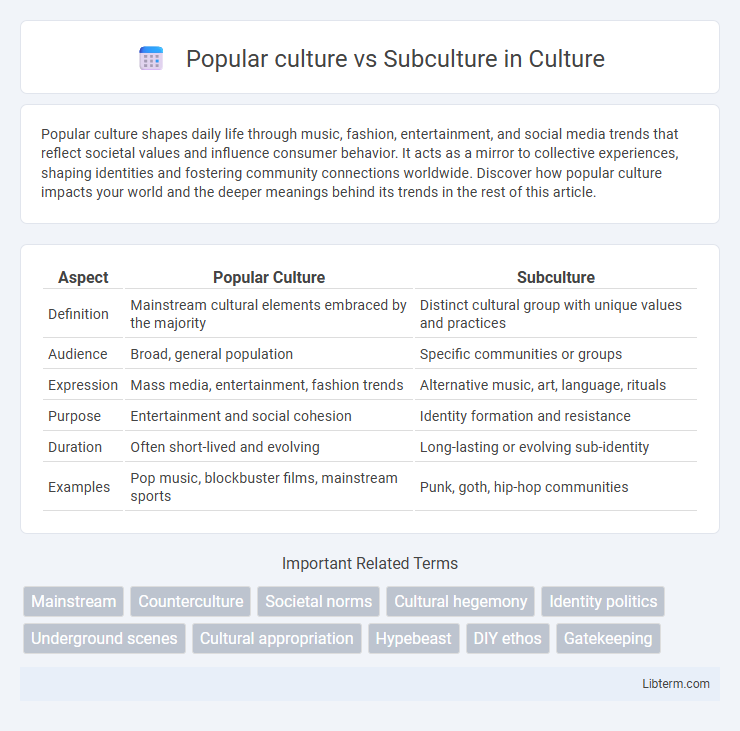 Subculture vs Popular culture in Culture - What is The Difference?