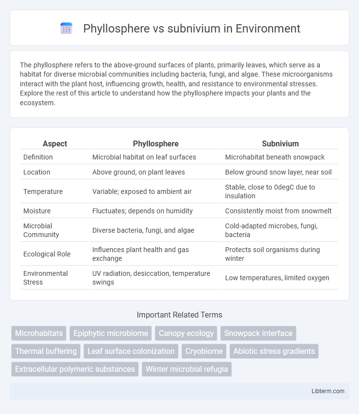 subnivium vs Phyllosphere in Environment - What is The Difference?