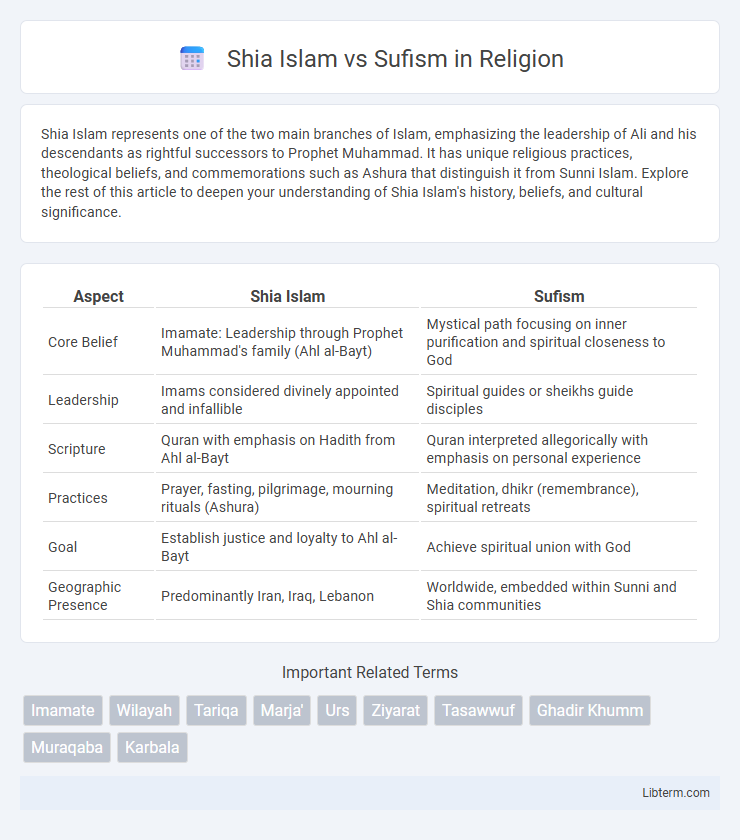 Sufism vs Shia Islam in Religion - What is The Difference?