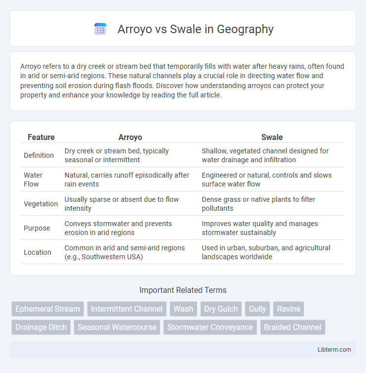 Swale vs Arroyo in Geography - What is The Difference?