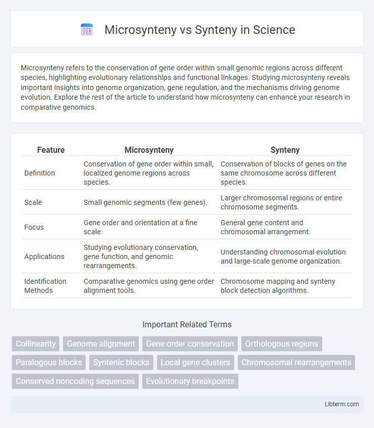 Synteny vs Microsynteny in Science - What is The Difference?
