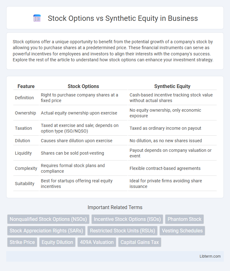 Synthetic Equity vs Stock Options in Business - What is The Difference?