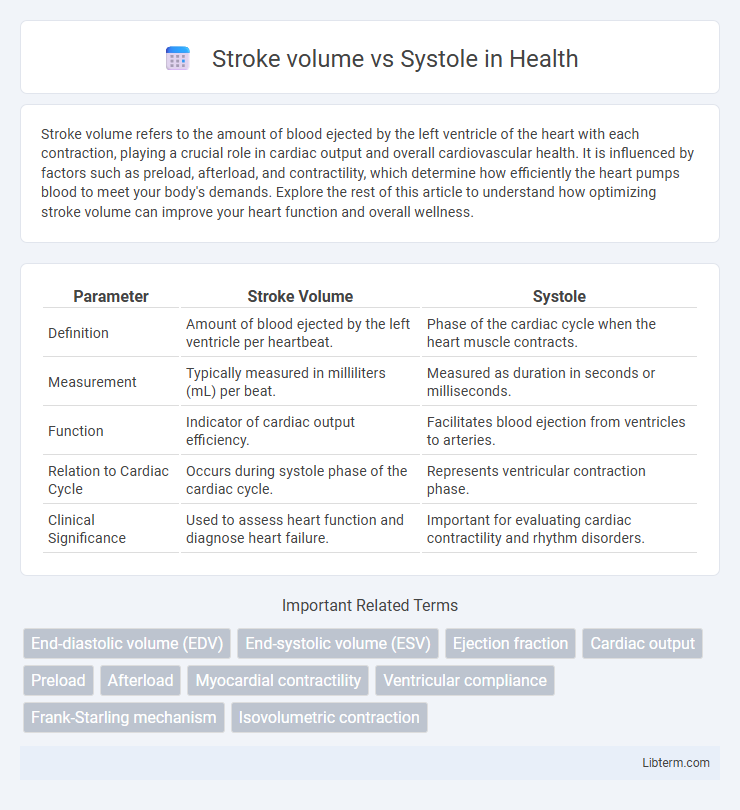 Systole vs Stroke volume in Health - What is The Difference?