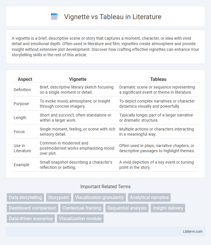 Tableau vs Vignette in Literature - What is The Difference?