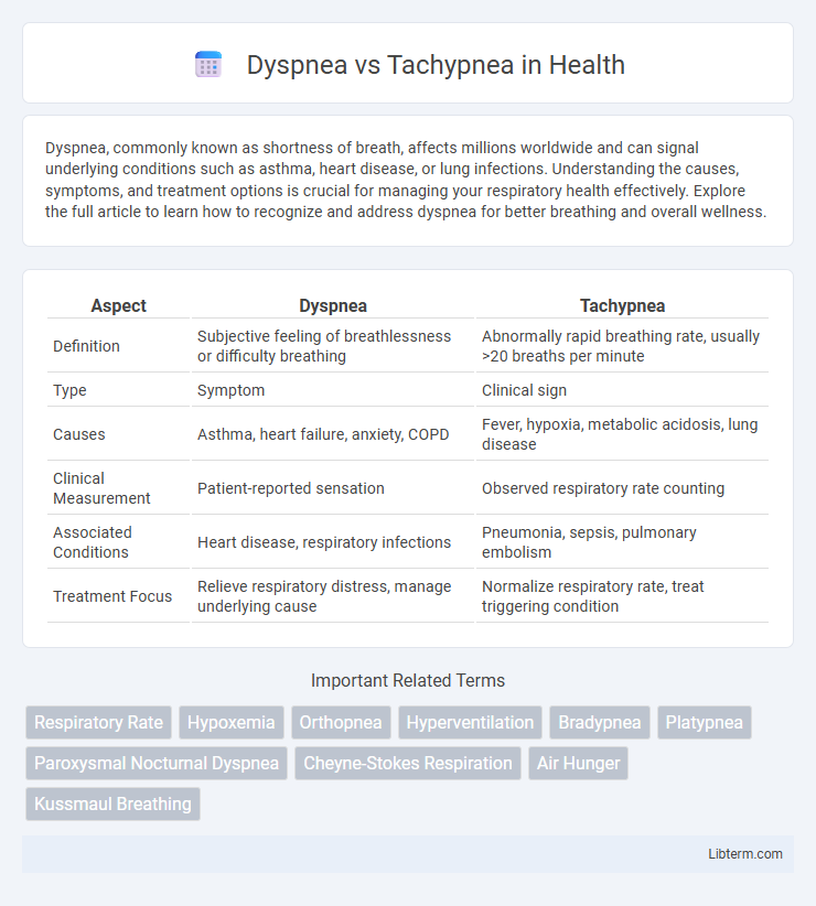 Tachypnea vs Dyspnea in Health - What is The Difference?