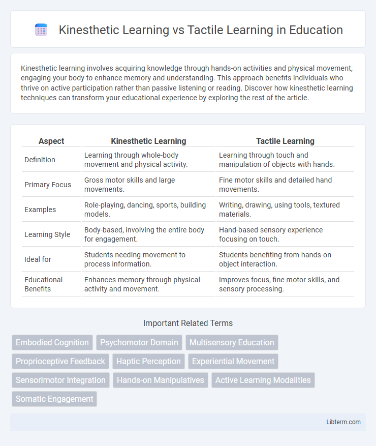 Tactile Learning vs Kinesthetic Learning in Education - What is The Difference?
