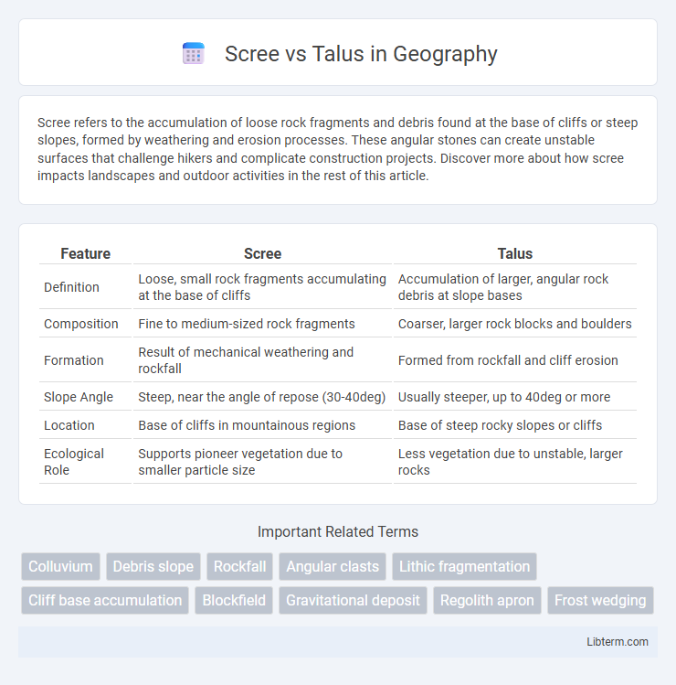 Talus vs Scree in Geography - What is The Difference?