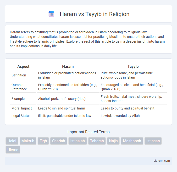 Tayyib vs Haram in Religion - What is The Difference?