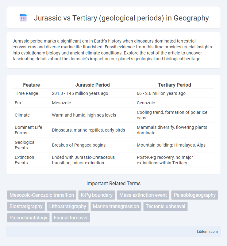 Tertiary (geological periods) vs Jurassic in Geography - What is The Difference?