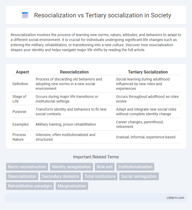 Tertiary socialization vs Resocialization in Society - What is The Difference?