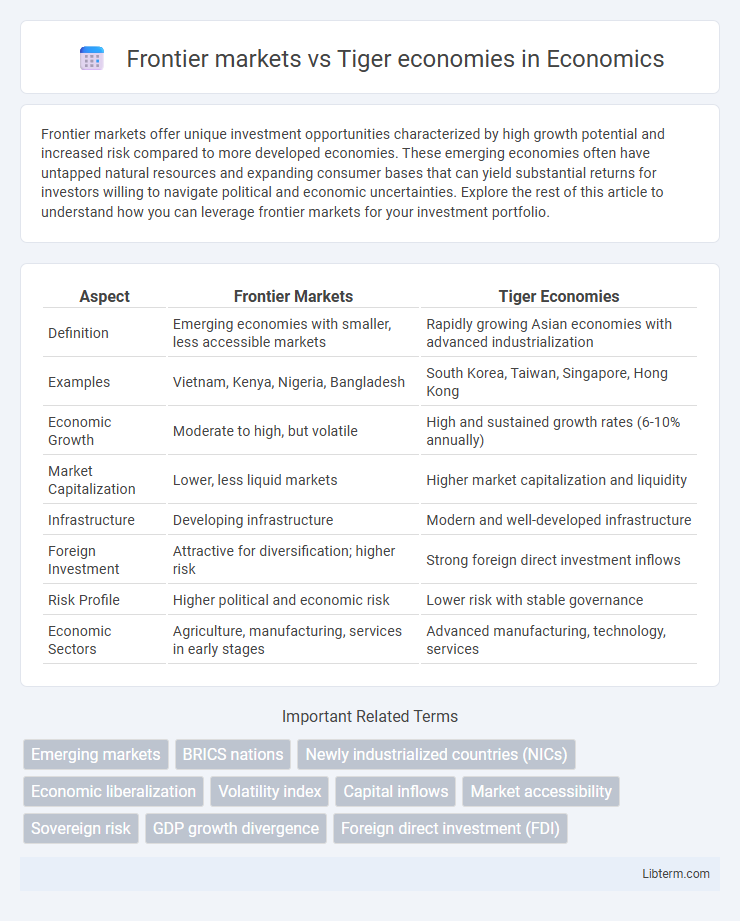Tiger economies vs Frontier markets in Economics - What is The Difference?