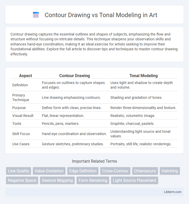 Tonal Modeling vs Contour Drawing in Art - What is The Difference?