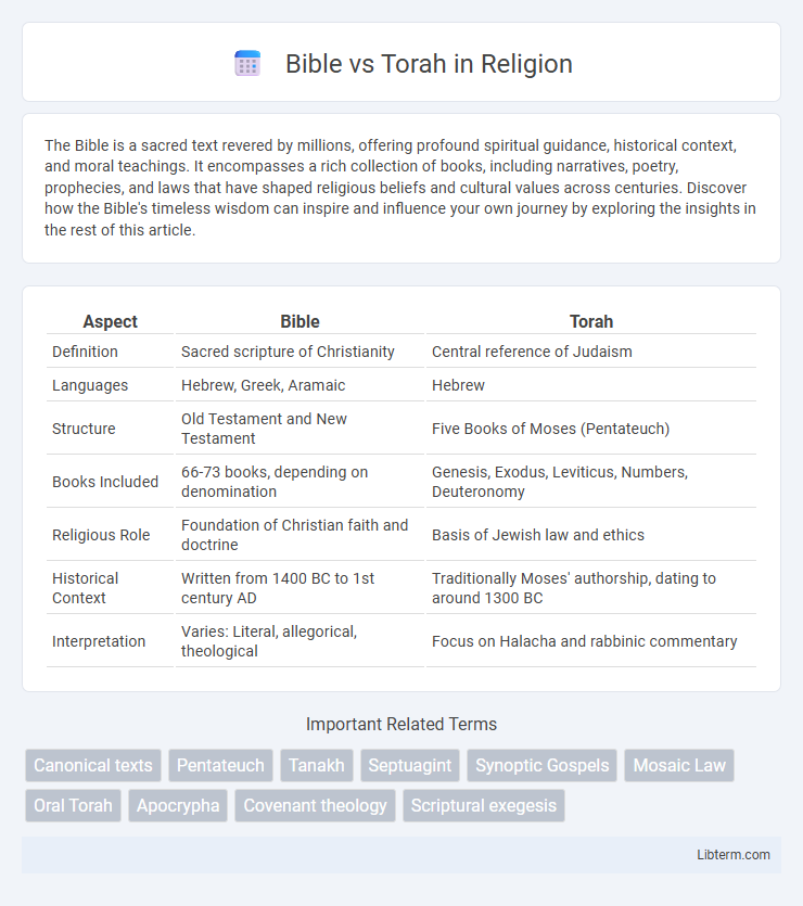 Torah vs Bible in Religion - What is The Difference?