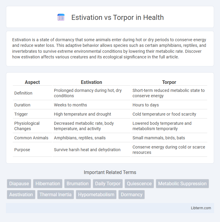 Torpor vs Estivation in Health - What is The Difference?