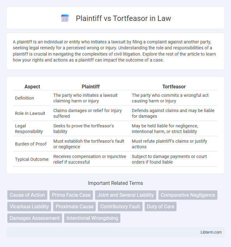 Tortfeasor vs Plaintiff in Law - What is The Difference?