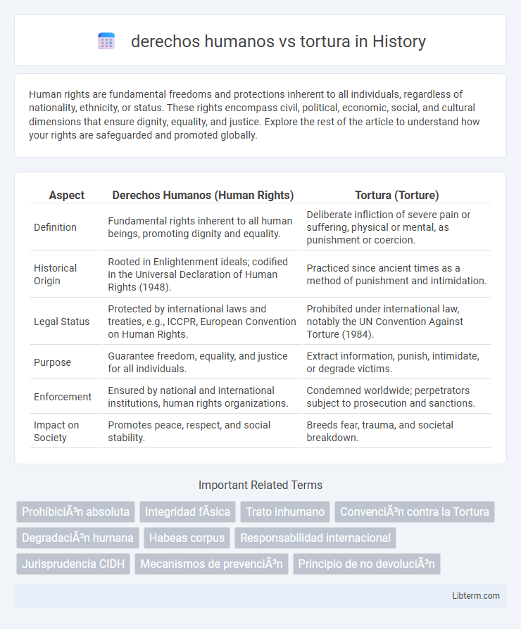 tortura vs derechos humanos in History - What is The Difference?