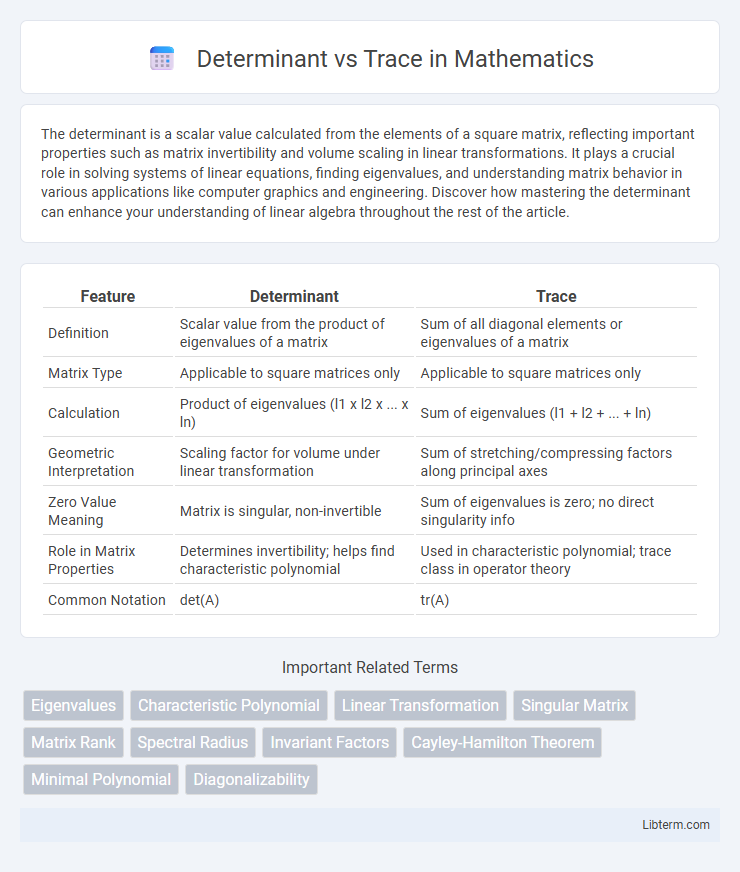 Trace vs Determinant in Mathematics - What is The Difference?