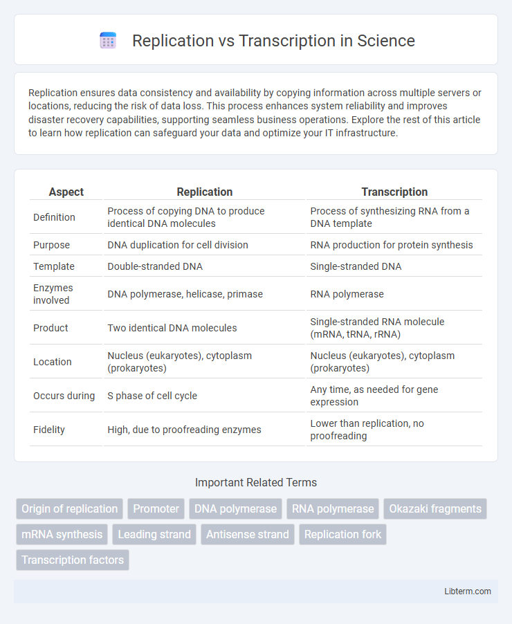 Transcription vs Replication in Science - What is The Difference?