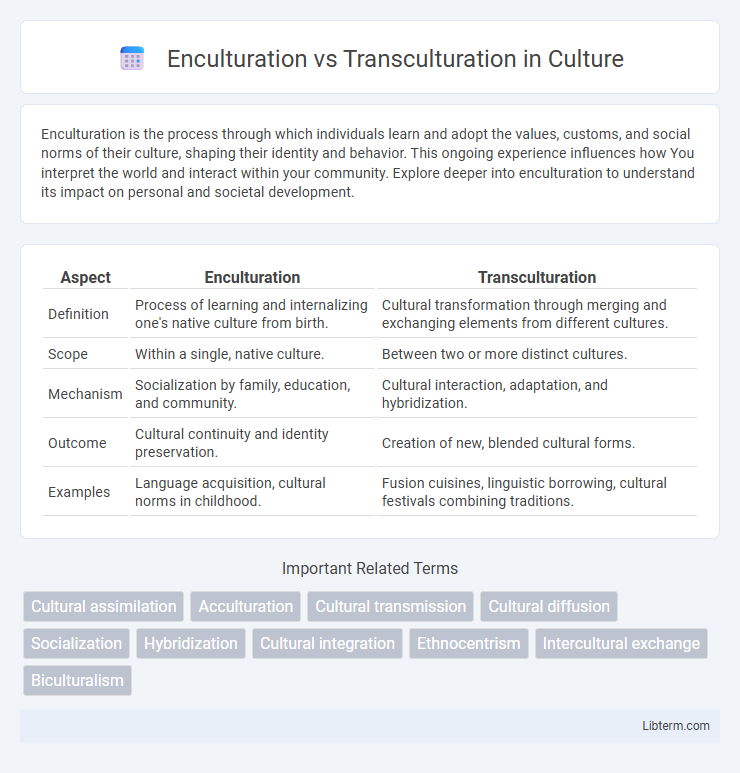 Transculturation vs Enculturation in Culture - What is The Difference?