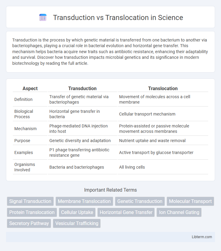 Translocation vs Transduction in Science - What is The Difference?