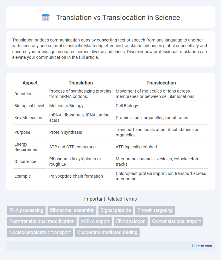 Translocation vs Translation in Science - What is The Difference?