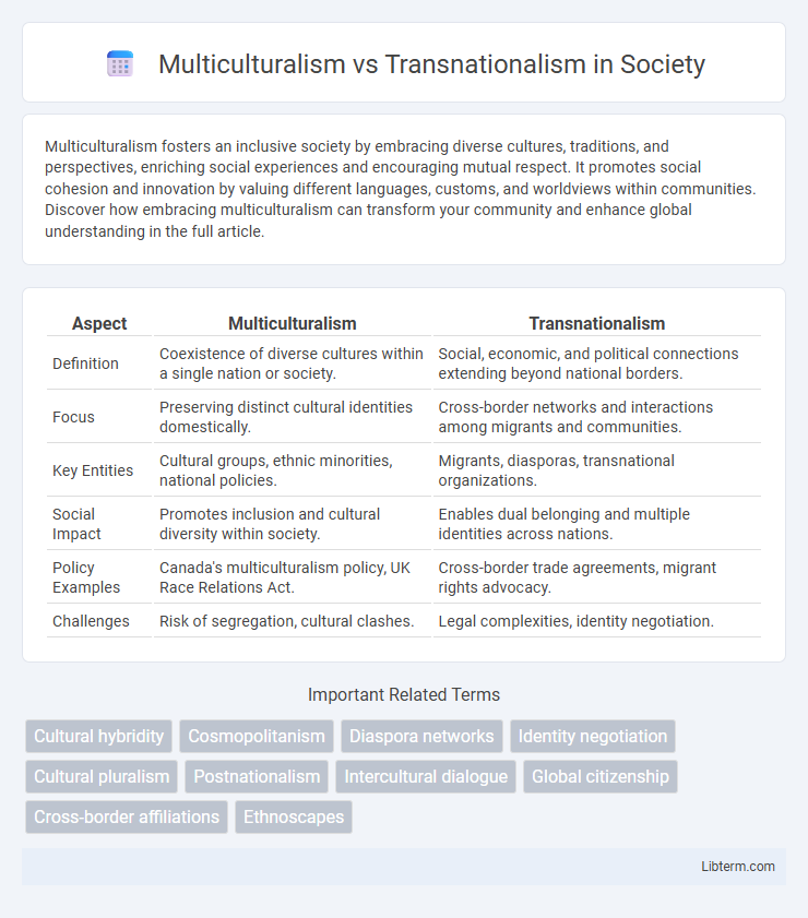 Transnationalism vs Multiculturalism in Society - What is The Difference?