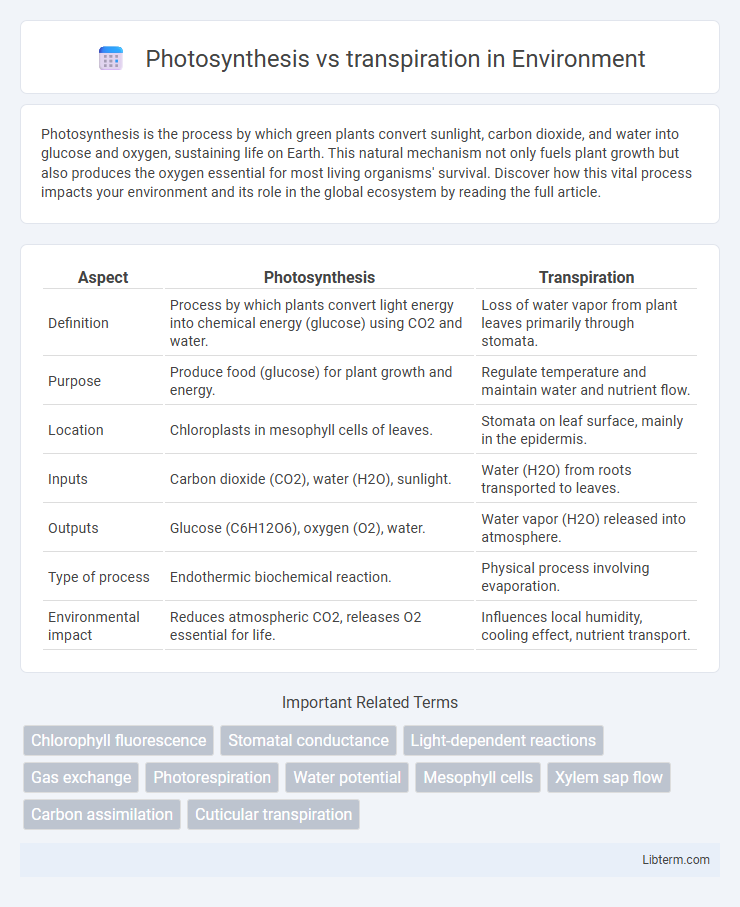 transpiration vs Photosynthesis in Environment - What is The Difference?