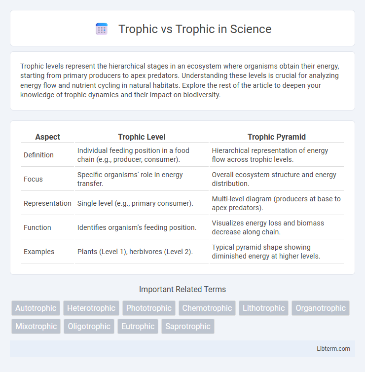 Trophic vs Trophic in Science - What is The Difference?