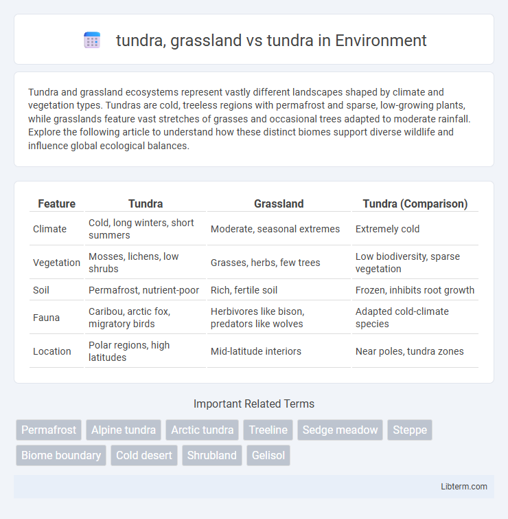tundra vs tundra, grassland in Environment - What is The Difference?