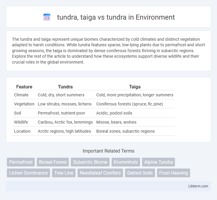 tundra vs tundra, taiga in Environment - What is The Difference?