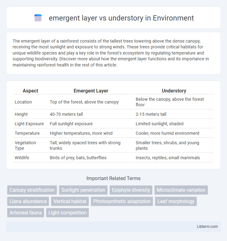 understory vs emergent layer in Environment - What is The Difference?