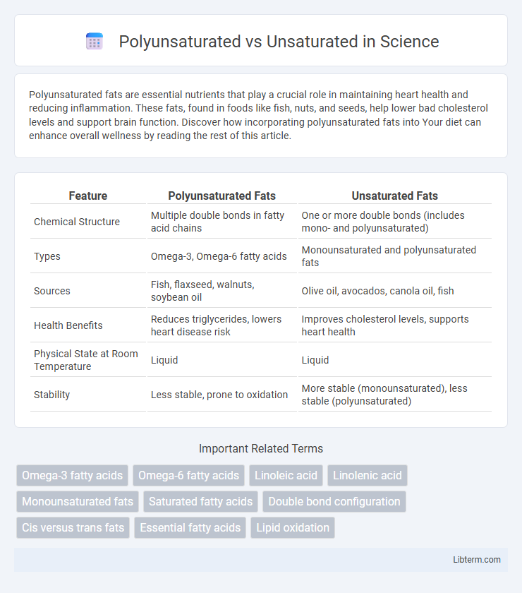 Unsaturated vs Polyunsaturated in Science - What is The Difference?